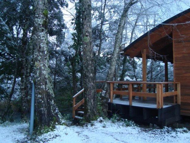 Patagonia Mawida Βίλα Neltume Εξωτερικό φωτογραφία