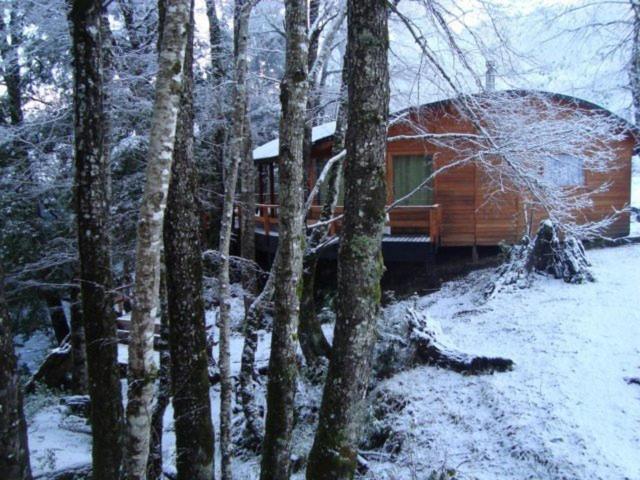 Patagonia Mawida Βίλα Neltume Εξωτερικό φωτογραφία